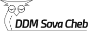 Primary Raster logo